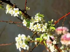 -哈尔滨师范大学(松北校区)