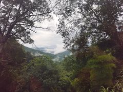 -龙岩森林水乡景区