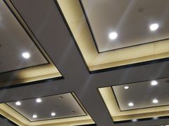 -成都峨眉雪芽大酒店