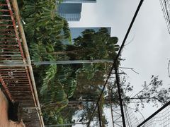 -横琴公社餐厅