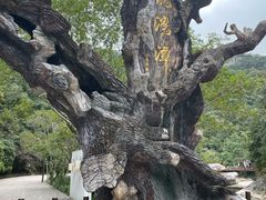 -龙湾潭国家森林公园