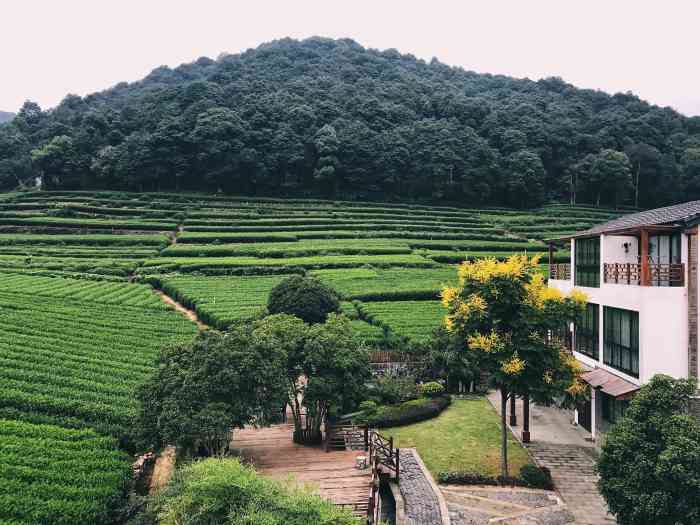 云栖小筑-"菜很可口,新鲜.点了炒丝瓜,一个简单的蔬."-大众点评移动版