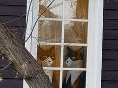 -三鹰之森吉卜力美术馆