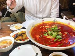 -陈麻婆豆腐总店