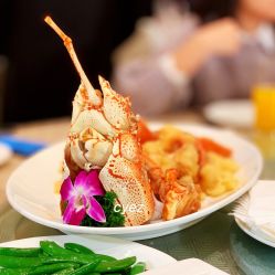 -上海瑞金洲际酒店·宴会厅