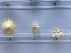 -山东博物馆