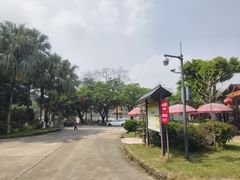 -广州莲花山旅游区