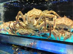 -金翠皇宫粤菜·点心·海鲜(科技园店)