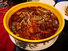 -熊猫川菜馆 panda chine