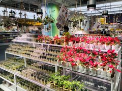 -KKV(深圳宏发大仟里店)