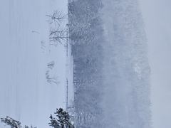 -凤凰山国家森林公园