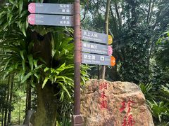 -深圳仙湖植物园