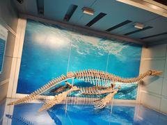 -自贡恐龙博物馆