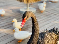 -珠海海泉湾神秘岛亲子乐园