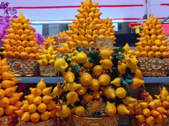 -越秀西湖花市(广州城市广场花卉店)