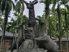 -海口火山口国家地质公园