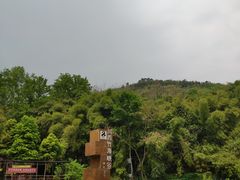 -川西竹海景区