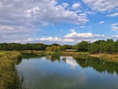 -贡湖湾湿地公园