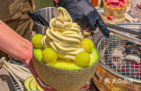 Starlight Hami Melon