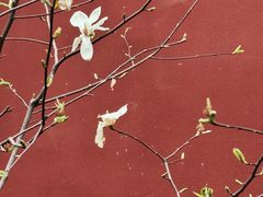 -西安市广仁寺