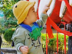 -合肥滨湖国家森林公园