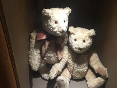 -济州岛泰迪熊博物馆