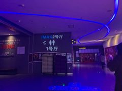-幸福蓝海国际影城(烟台大悦城IMAX店)