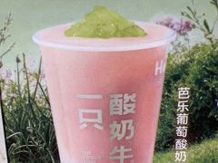 -一只酸奶牛(曲江龙湖星悦荟店)