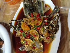 -海胆公主南澳岛美食海鲜
