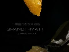 -广州富力君悦大酒店空中花园