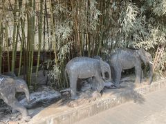 -呀路古热带植物园