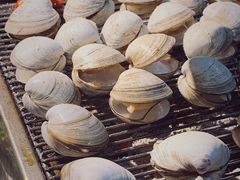 白蚬子-丹东特色烤肉(南光三部店)