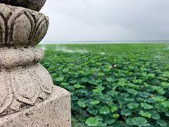 -阳澄湖半岛旅游度假区