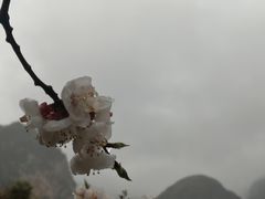 -云丘山景区