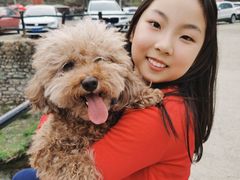 -北京水岸山吧度假村(雁栖镇店)