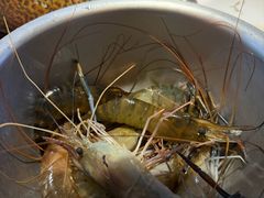 -濠七糟粕醋•海南酸汤火锅(中关村店)