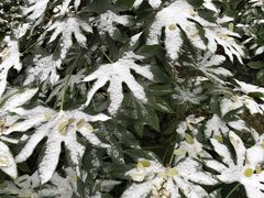 -体育场(地铁站)