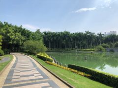 -南宁南湖公园