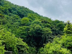-凤栖山