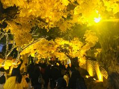 -横店影视城梦幻谷园区