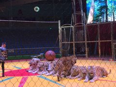 -西安秦岭野生动物园