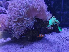 -海合安武汉极地海洋公园