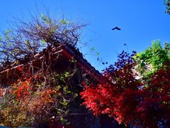 -中国茶叶博物馆(双峰馆区)
