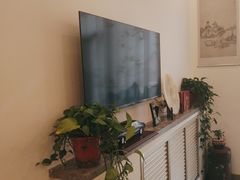 -八马茶业(星海胜利路旗舰店)