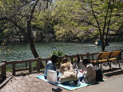 -井之头恩赐公园