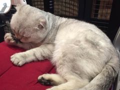 -MIKAKU(万达广场上海宝山店)