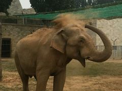 -石家庄市动物园