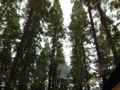 SS-上海怡沁园度假酒店