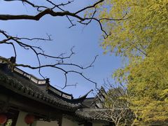 -上海醉白池公园