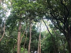-广州市帽峰山景区